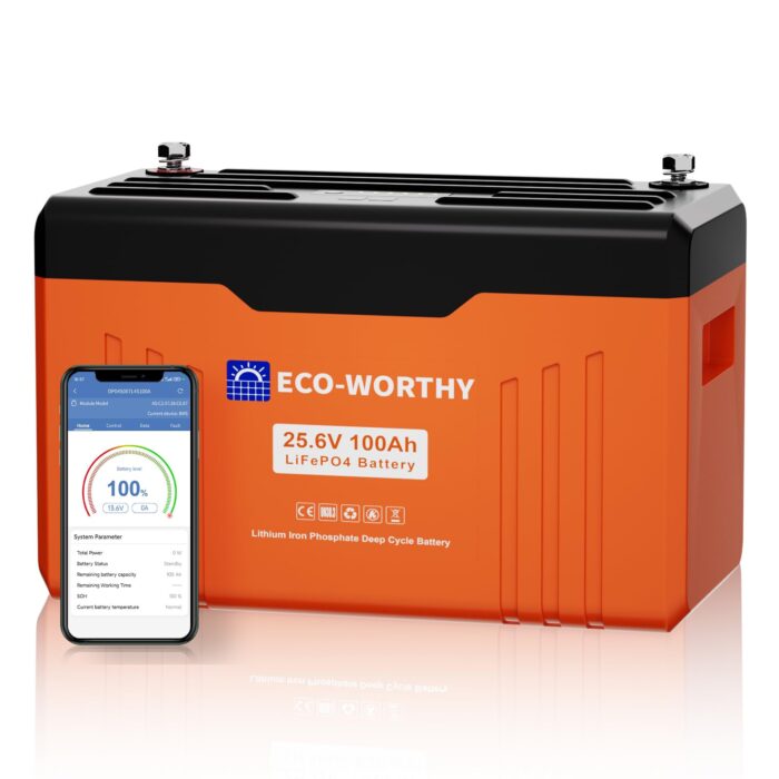 ECO-WORTHY 12V 100Ah LiFePO4 Bluetooth mit 12/24V 20A Ladegeräte,Lithiumbatterie 12V 100AH mit BMS Low Temperature Schutz für Wohnmobil,Boot,Wohnwagen