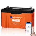 ECO-WORTHY 12V 100Ah LiFePO4 Bluetooth mit 12/24V 20A Ladegeräte,Lithiumbatterie 12V 100AH mit BMS Low Temperature Schutz für Wohnmobil,Boot,Wohnwagen
