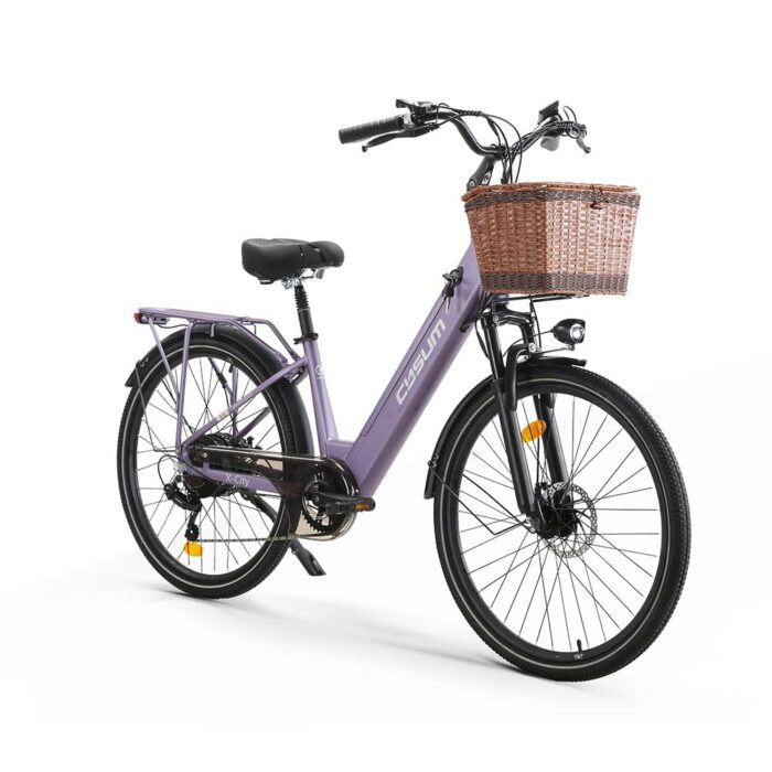 cysum X-City Elektrofahrrad für Erwachsene, 26 Zoll City Elektrofahrrad Damen Herren Lithium-Akku 48V 10,4Ah Motor 250W 25km/h Urban Switing