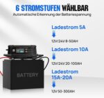 ECO-WORTHY 12V 100Ah LiFePO4 Bluetooth mit 12/24V 20A Ladegeräte,Lithiumbatterie 12V 100AH mit BMS Low Temperature Schutz für Wohnmobil,Boot,Wohnwagen