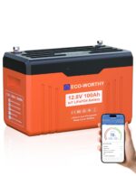 ECO-WORTHY 12V 100Ah LiFePO4 Bluetooth mit 12/24V 20A Ladegeräte,Lithiumbatterie 12V 100AH mit BMS Low Temperature Schutz für Wohnmobil,Boot,Wohnwagen