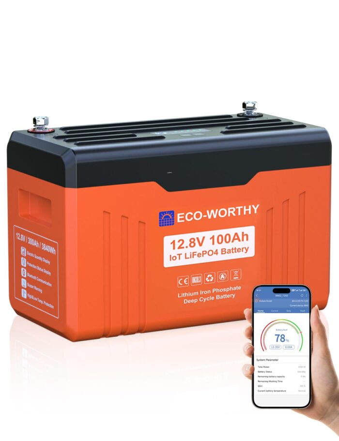 ECO-WORTHY 12V 100Ah LiFePO4 Bluetooth mit 12/24V 20A Ladegeräte,Lithiumbatterie 12V 100AH mit BMS Low Temperature Schutz für Wohnmobil,Boot,Wohnwagen
