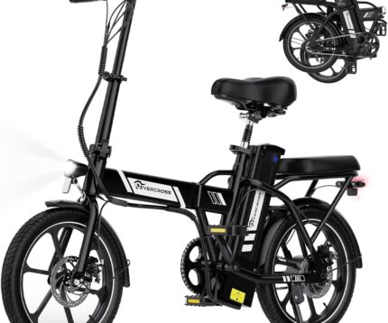 EVERCROSS Elektrofahrrad für Erwachsene, 250W E Bike,16''x 2.0/20" x 4.0 Fette Reifen, bis zu 25KM/H & 60-100km Reichweite,36V/48V Abnehmbare Batterie, Berg Schnee Elektro Offroad Fahrrad