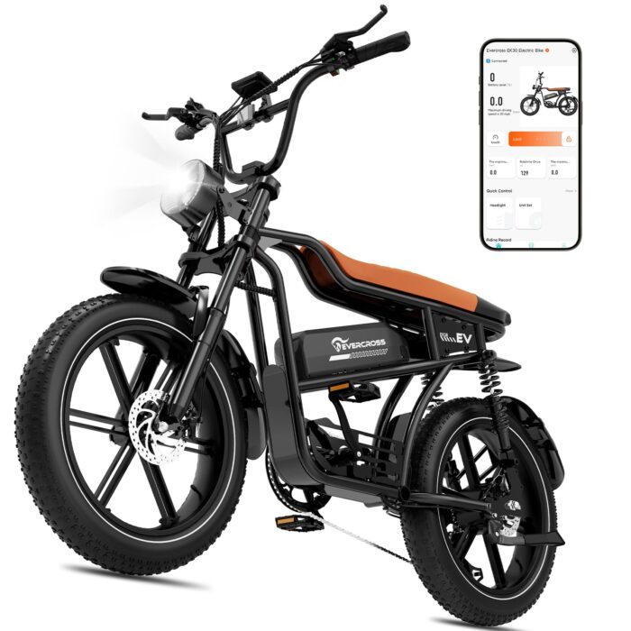 EVERCROSS Elektrofahrrad für Erwachsene, 250W E Bike,16''x 2.0/20" x 4.0 Fette Reifen, bis zu 25KM/H & 60-100km Reichweite,36V/48V Abnehmbare Batterie, Berg Schnee Elektro Offroad Fahrrad