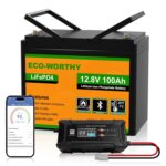 ECO-WORTHY 12V 100Ah LiFePO4 Bluetooth mit 12/24V 20A Ladegeräte,Lithiumbatterie 12V 100AH mit BMS Low Temperature Schutz für Wohnmobil,Boot,Wohnwagen