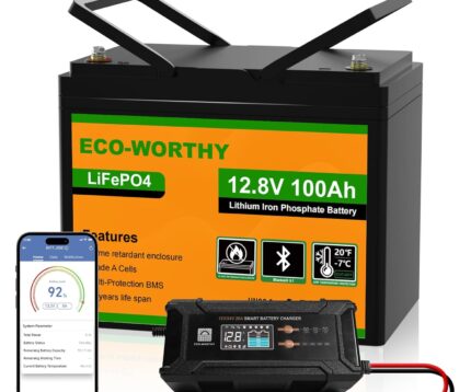 ECO-WORTHY 12V 100Ah LiFePO4 Bluetooth mit 12/24V 20A Ladegeräte,Lithiumbatterie 12V 100AH mit BMS Low Temperature Schutz für Wohnmobil,Boot,Wohnwagen