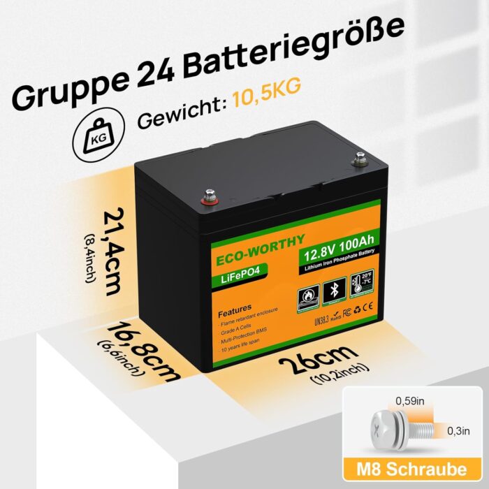 ECO-WORTHY 12V 100Ah LiFePO4 Bluetooth mit 12/24V 20A Ladegeräte,Lithiumbatterie 12V 100AH mit BMS Low Temperature Schutz für Wohnmobil,Boot,Wohnwagen