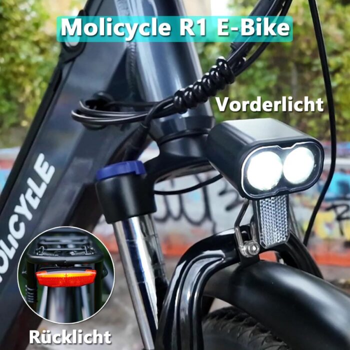 R1 E-Bike Damen 26 Zoll Tiefeinsteiger Trekkingrad E-Cityrad mit 36V 14.5Ah Wechselakku, Reichweite bis zu 110km, Hydraulische Scheibenbremsen, EU-konformes Ebike für Erwachsene