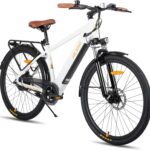 HILAND 26 Zoll Elektomountainbike mit Gepäckträger, 250W Motor, 36V 7.8Ah Akku, 7.8Ah Akku, Elektrofahrrad mit Scheibenbremsen vorne und hinten, E-Bike für Damen und Herren, Grau/Weiß