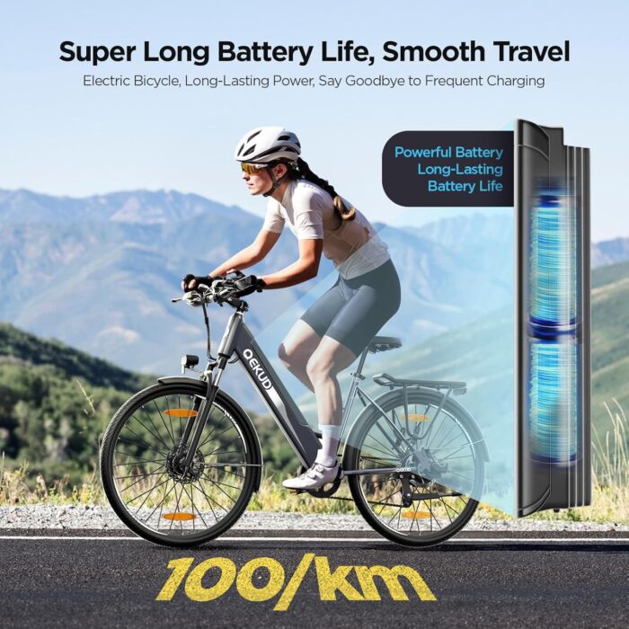 E-Bike Damen/Herren, 26 Zoll/27.5 Zoll Elektrofahrrad, mit 36V 13Ah Li-Ion Akku, 250W Motor, Reichweite bis zu 100KM im Hybrid Modell