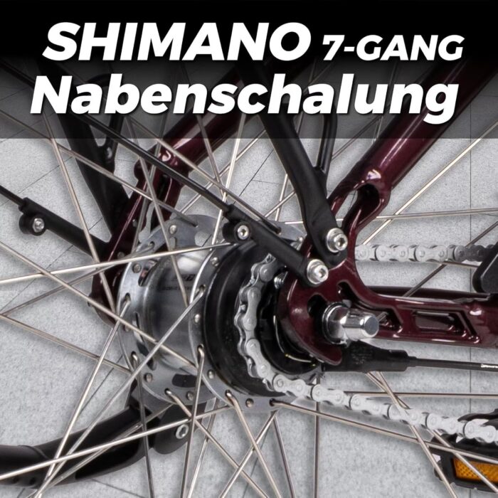 SAXONETTE E Bike mit Rücktrittbremse und nabenschaltung, Ebike Damen 28 Zoll mit 36V 13Ah BMS Akku, 7 Gang Elektro Fahrrad Erwachsene mit Federgabel, Pedelec mit Gepäckträger für Damen und Herren