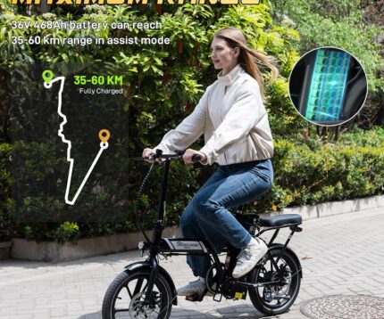 EVERCROSS Elektrofahrrad für Erwachsene, 250W E Bike,16''x 2.0/20" x 4.0 Fette Reifen, bis zu 25KM/H & 60-100km Reichweite,36V/48V Abnehmbare Batterie, Berg Schnee Elektro Offroad Fahrrad