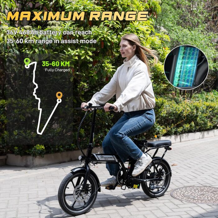 EVERCROSS Elektrofahrrad für Erwachsene, 250W E Bike,16''x 2.0/20" x 4.0 Fette Reifen, bis zu 25KM/H & 60-100km Reichweite,36V/48V Abnehmbare Batterie, Berg Schnee Elektro Offroad Fahrrad